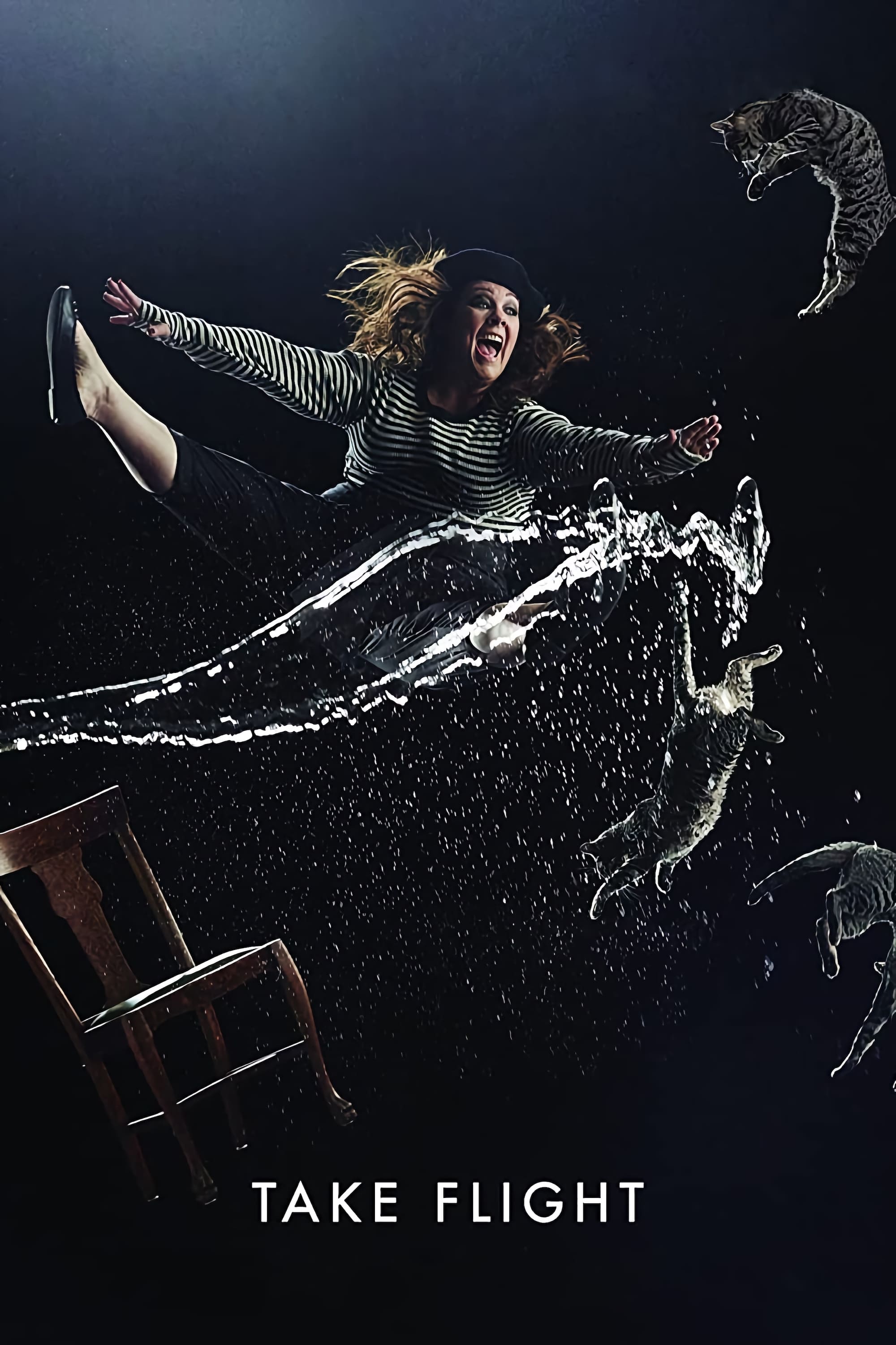 Постер Take Flight